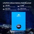 SunGoldPower 5.12KWH Powerwall LiFePO4 Lithium Battery SG48100M