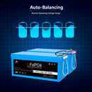 SunGoldPower 24V 100Ah LiFePo4 Deep Cycle Lithium Battery Bluetooth / Self-Heating / IP65 SGP24V100S