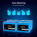 SunGoldPower 2 X 12V 100AH LiFePO4 Deep Cycle Lithium Battery / Bluetooth /Self-Heating SGP12V100SX2