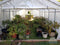 Rhino Shelters Greenhouse 12’W x 20’L x 8’H -(House Style Greenhouse) GH122008H