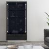 Whiteline Modern Living Los Angeles Cabinet CB1673