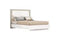 Whiteline Modern Living Daisy Queen Bed BQ1723