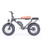 Freego DK200 Off Road Mountain Electric Bike 20'' Fat tires 20Ah Lithium Battery