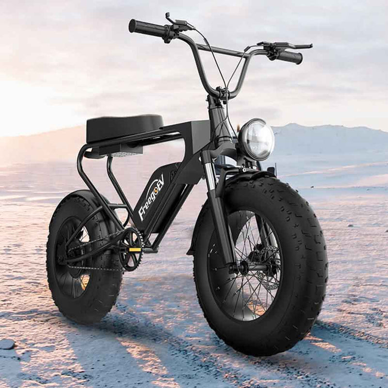 Freego DK200 Off Road Mountain Electric Bike 20'' Fat tires 20Ah Lithium Battery