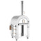 Empava Outdoor Wood Fired Pizza Oven EMPV-PG01