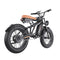 Freego F1 Fat Tires Off Road Black Electric Bike Removable Battery