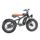 Freego F1 Fat Tires Off Road Black Electric Bike Removable Battery