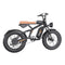 Freego F1 Pro Fat Tires Off Road Electric Bike 7 Speed Gears