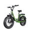 Freego FB-20X Step-thru Fat Tire Electric Bike