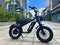 Freego Mini Fat Tire Electric Motorcycle