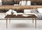 Whiteline Modern Living Nia Coffee Table CT1882