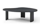 Whiteline Modern Living Pam Large Coffee Table CT1902