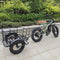 Freego Electric Bicycle Cargo Rear trailer