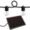 Rich Solar Solar String Lights | 12 LED Solar Powered Bulbs on String Lights | Easy to Install