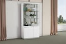 Whiteline Modern Living Cameron Cabinet CB1686